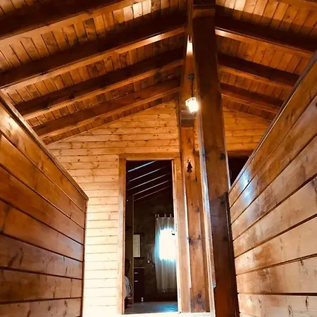 Casa Turistica Los Olivos *